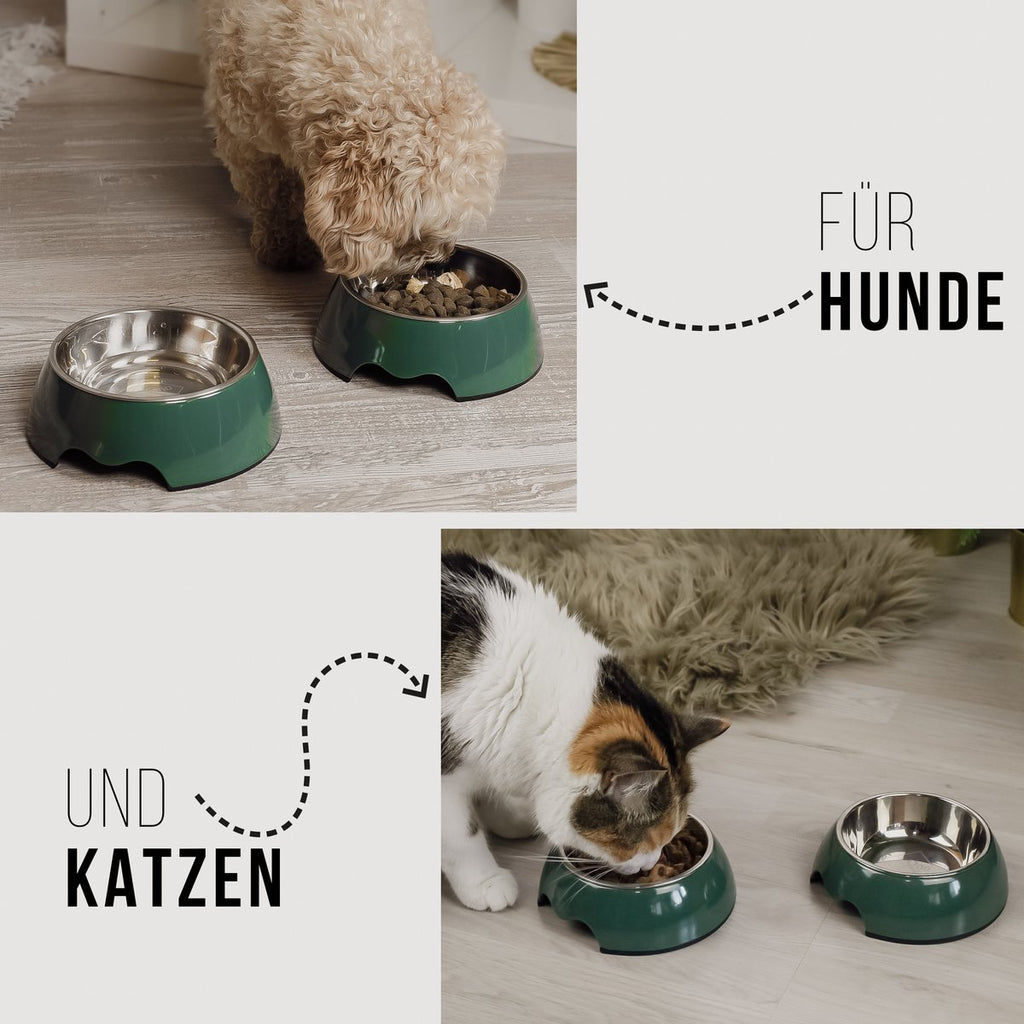 Juego de cuencos para mascotas – 2 piezas (P/M/G) Verde bosque