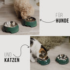 Juego de cuencos para mascotas – 2 piezas (P/M/G) Verde bosque