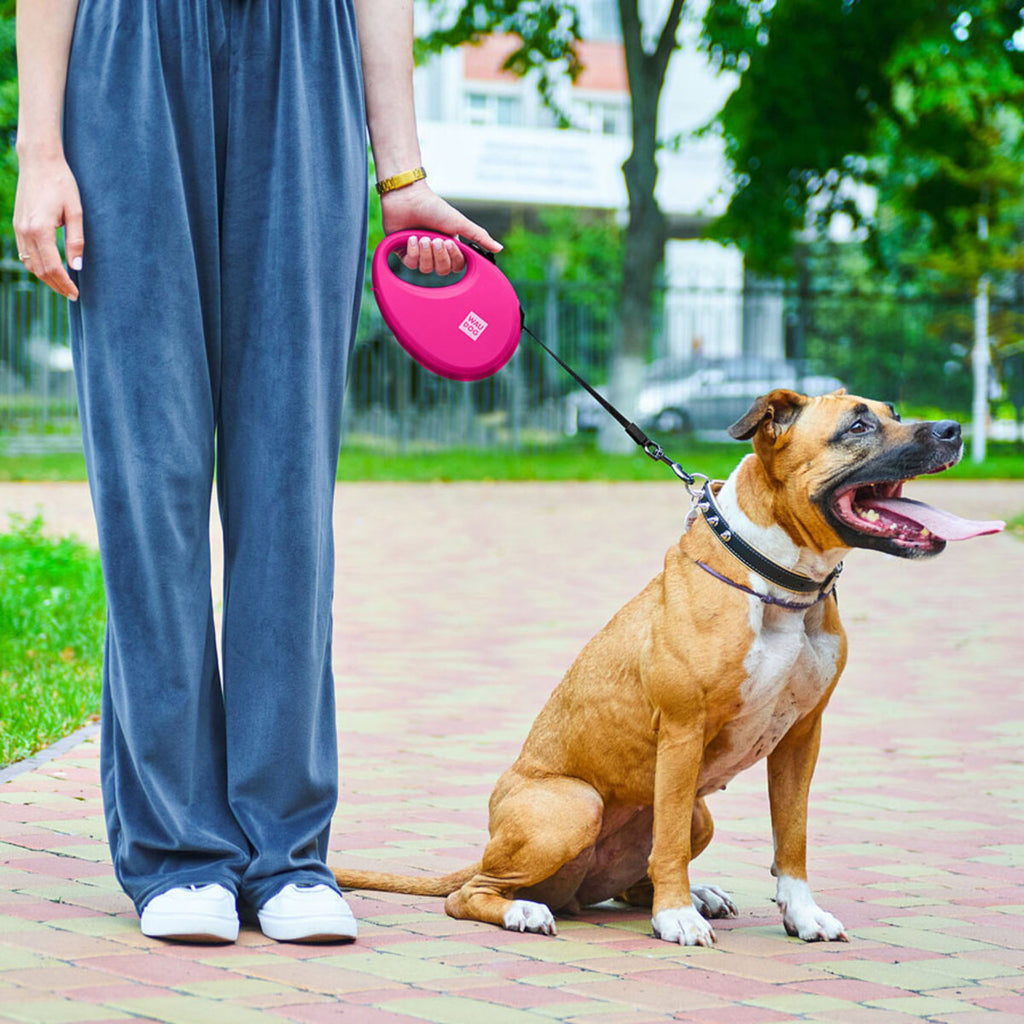 WAUDOG Nylon Dog Leash - Pink
