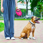 WAUDOG Nylon Dog Leash - Pink