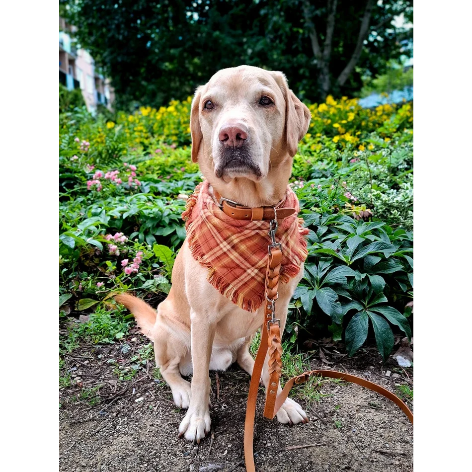 Verstellbares verdrehtes Hundehalsband aus Leder – Camel (Cognac)
