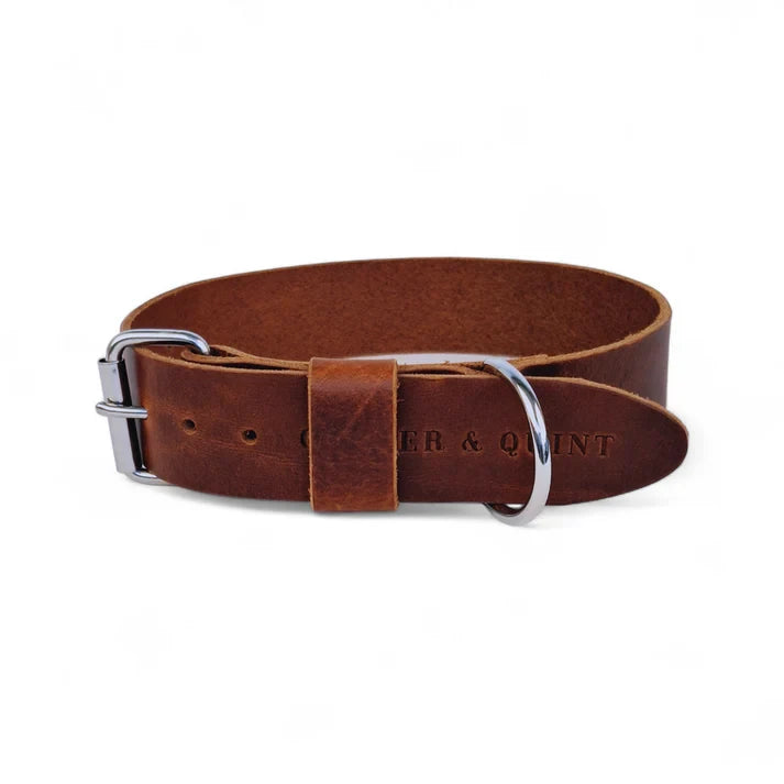 Breites Lederhalsband für Hunde – Dunkelbraun