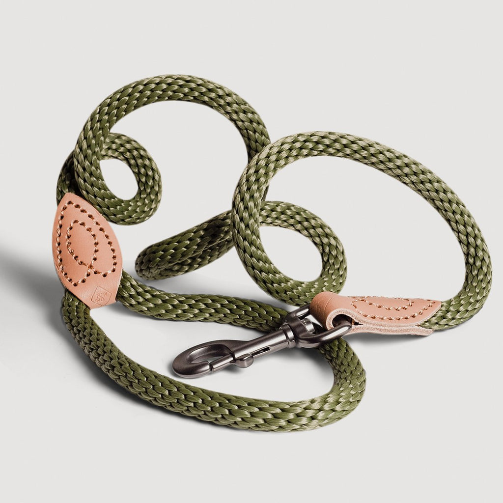 Correa de Cuerda para Perro – Estilo Urbano (120 cm)