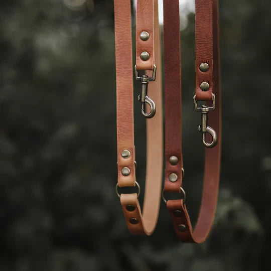 Verstellbare Hundeleine aus Leder – Camel