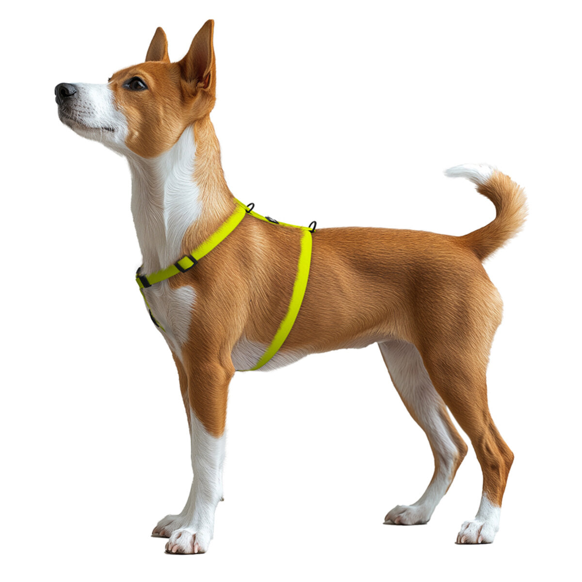 WAUDOG Magnet Dog H-Harness with QR Passport - Lemon