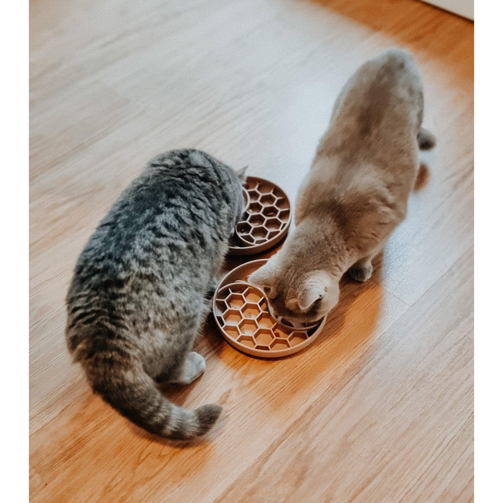 Anti-sling bowl for dogs and cats