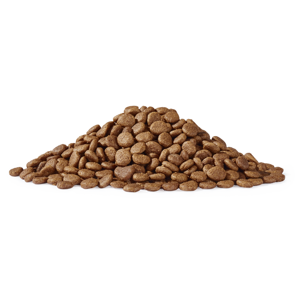 Dogs’n Tiger Adult Premium Katzenfutter, Trockenfutter, Getreidefrei, Schlemmermäulchen, Truthahn & Lachs