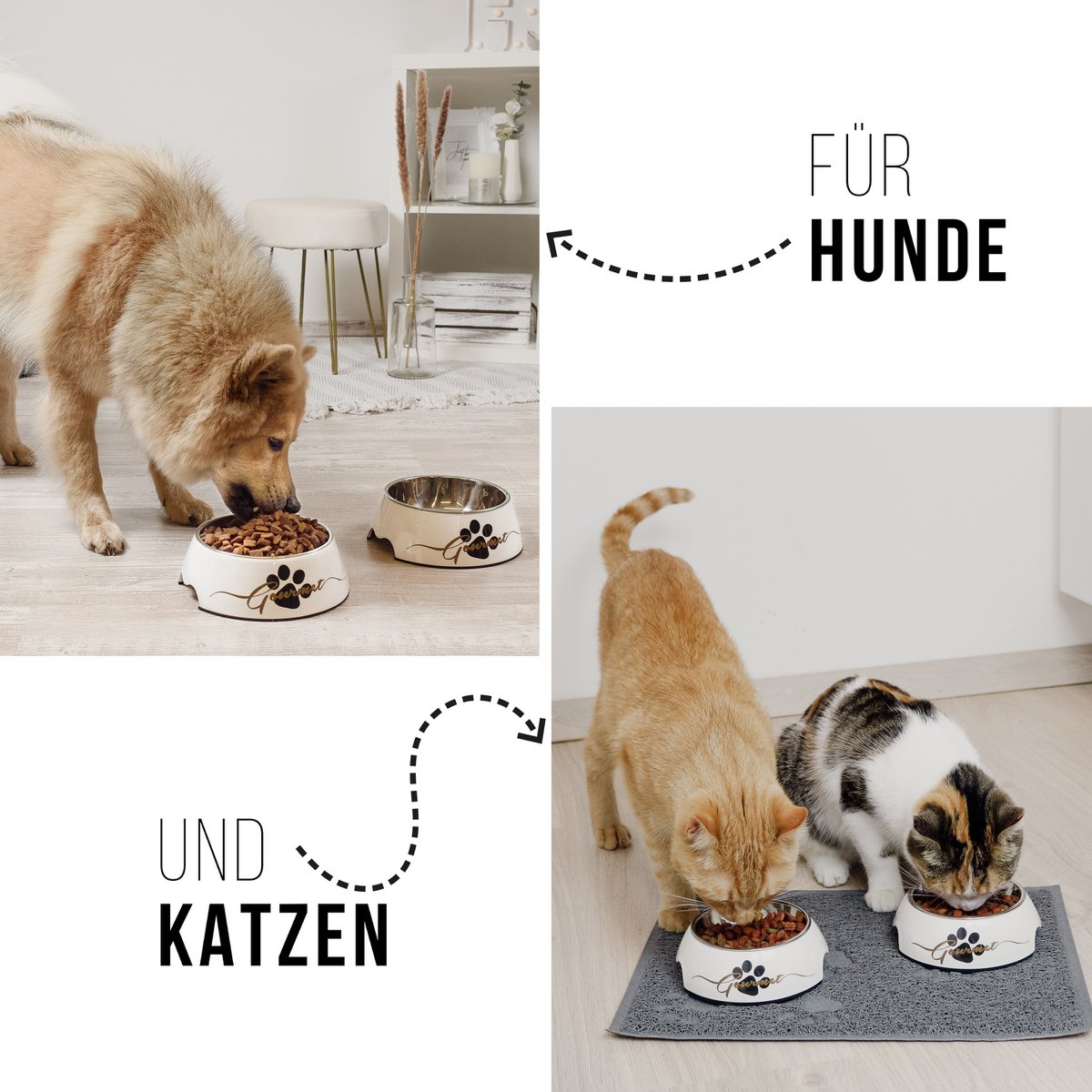Set de cuencos para mascotas – Diseño gourmet para perros (2 piezas)