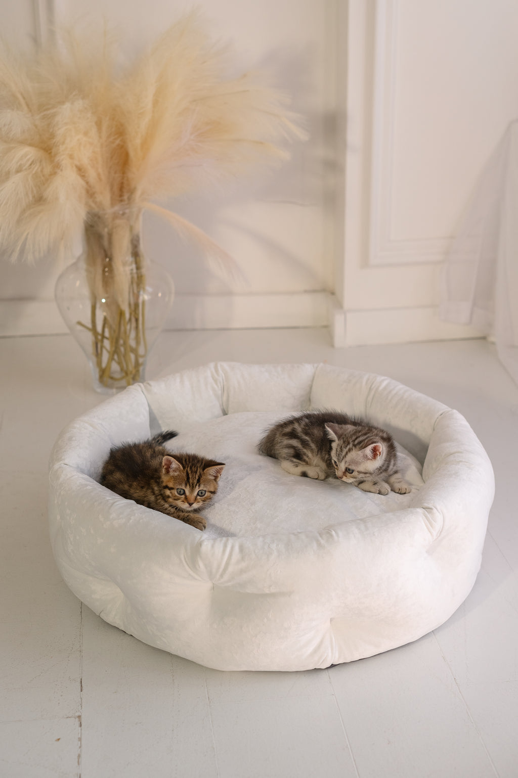 Cama para Perros Pawearea™ Marshmallow