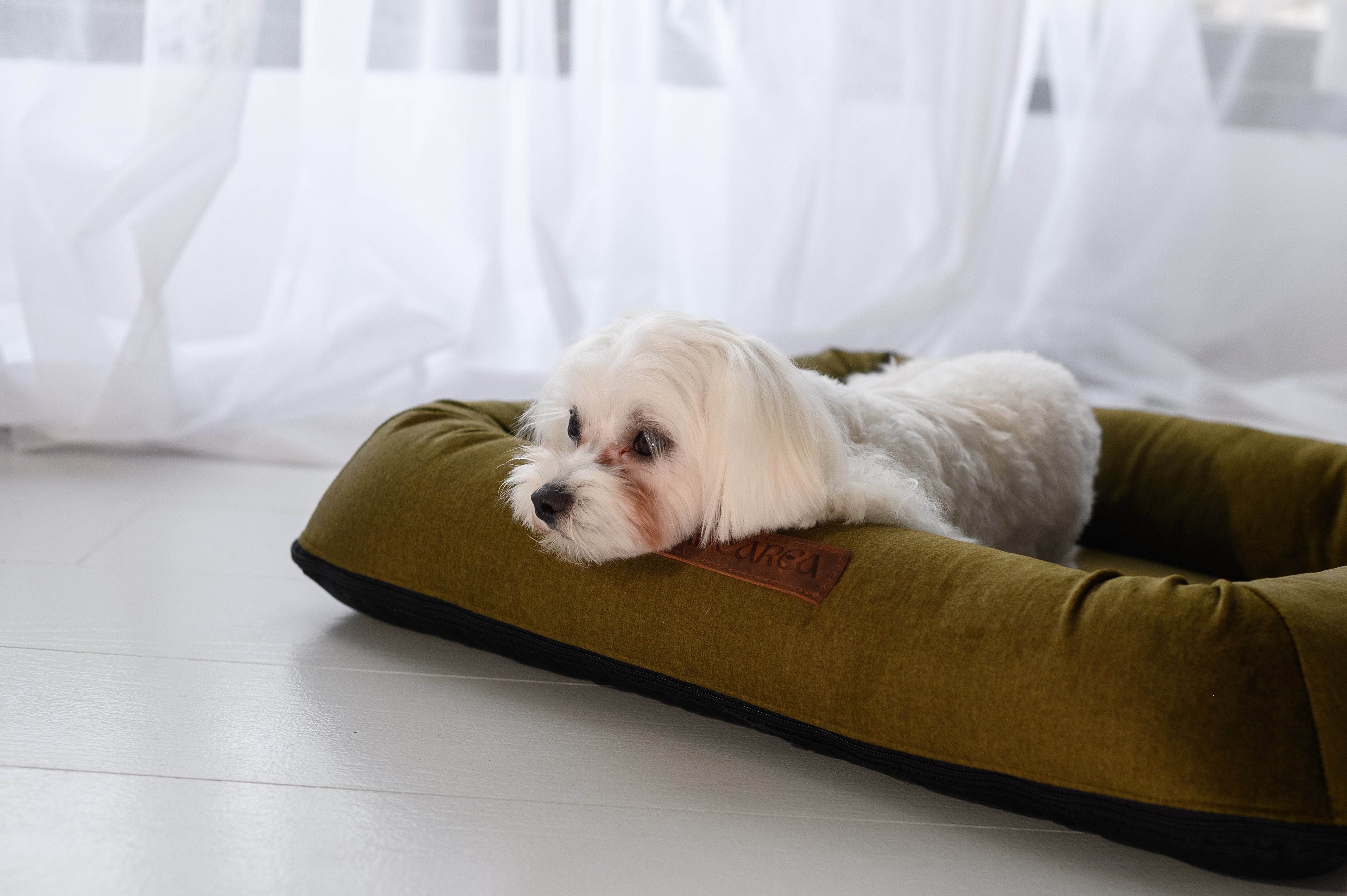 Cama para perros Pawearea™ Monolith