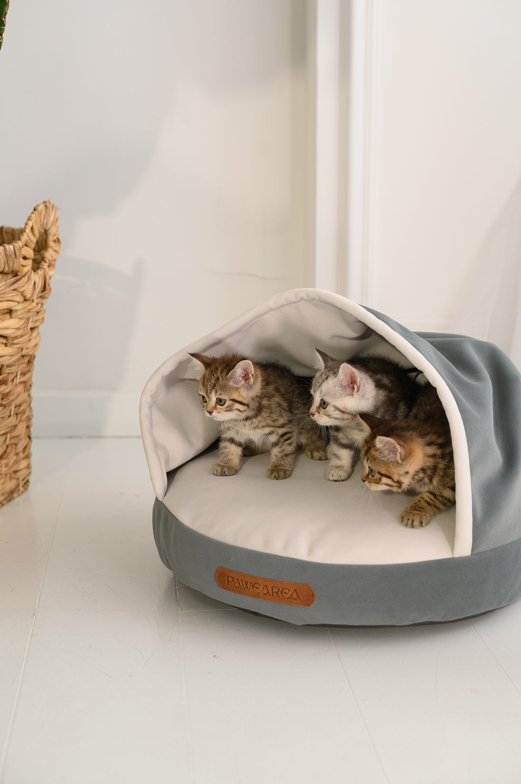 Cama Pawearea™ Nido para Perros