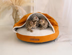Cama Pawearea™ Nido para Perros