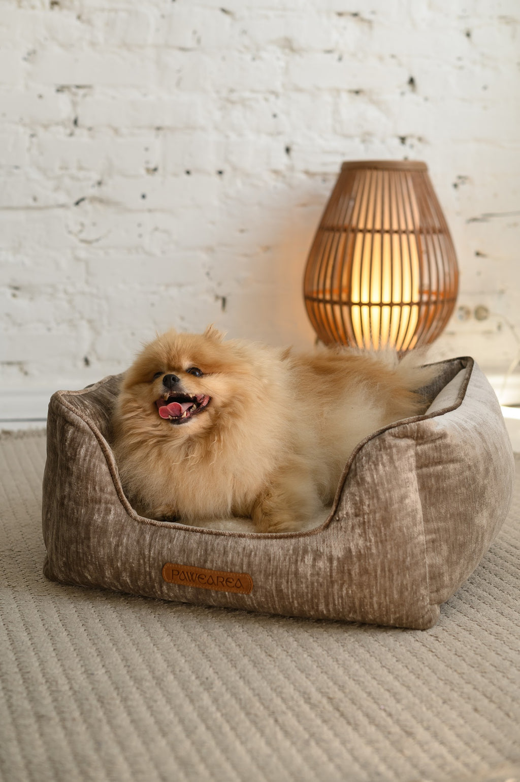 Cama para perros Pawearea™ Phoebe