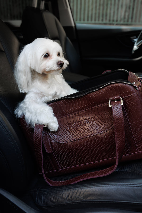 Bordeaux python embossed leather dog carrier with small white dog inside on a car seat