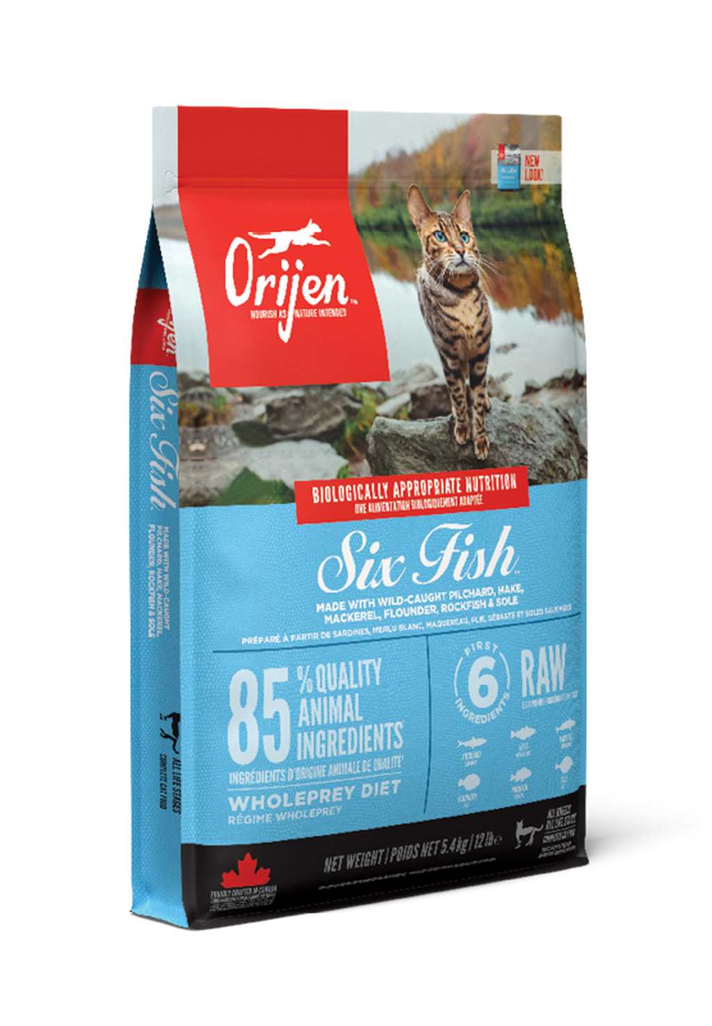 Six Fish Cat