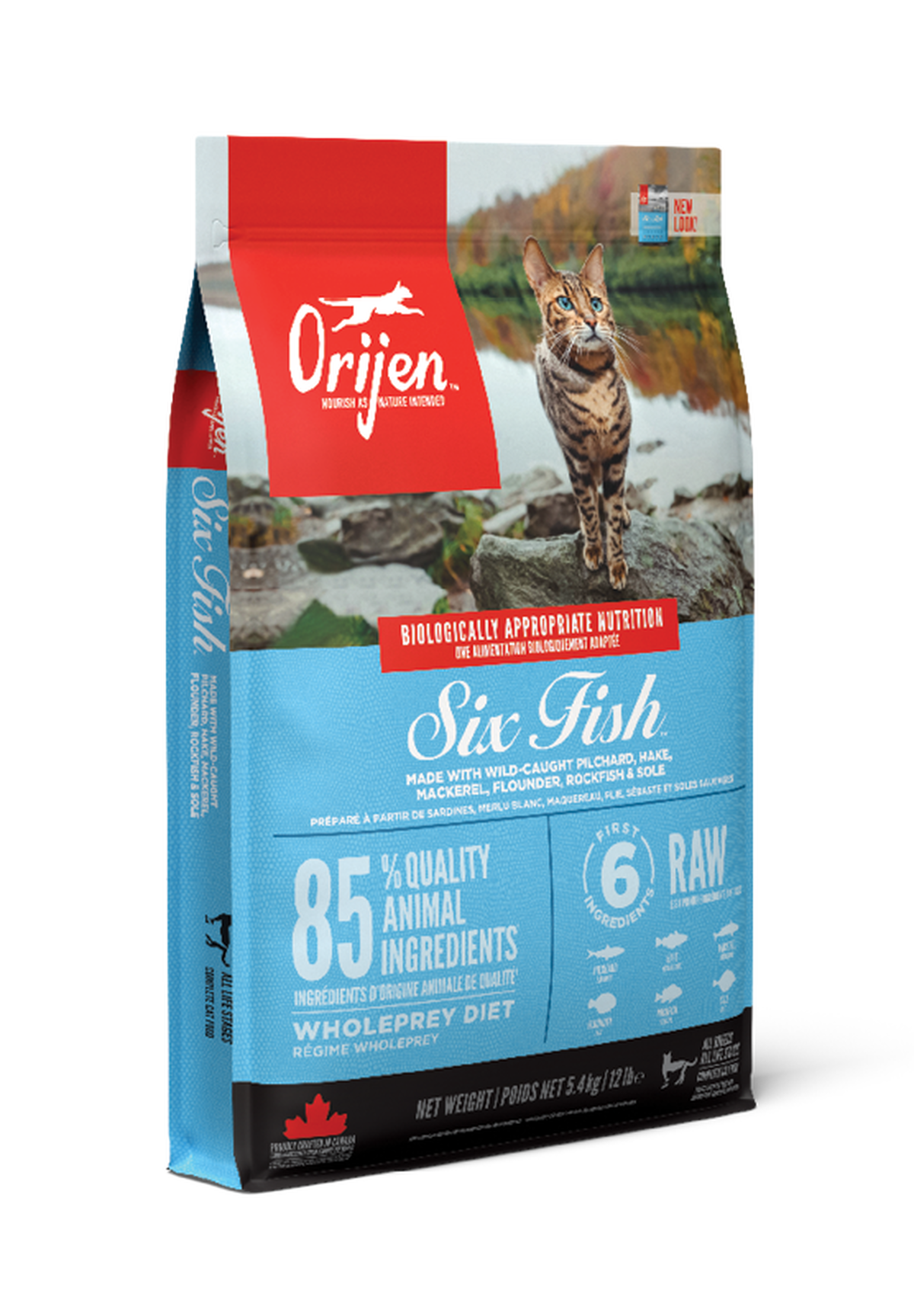 Six Fish Cat